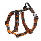 Orange / L