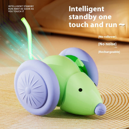 Electric Mouse Car Cat Toy