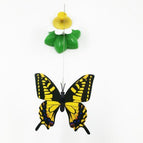 Random / butterfly