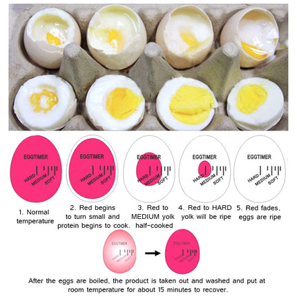 Egg Timer With Color Changing Indicators