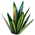 Vert / 27 CM