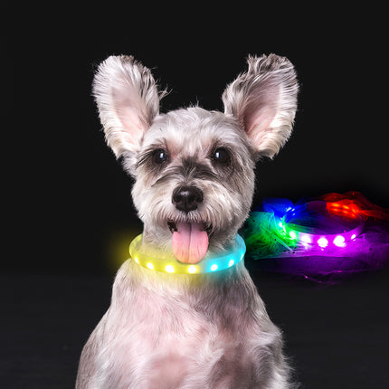 Flash Collar For Dogs with Anti-Lost Silicone Necklace And USB Charging