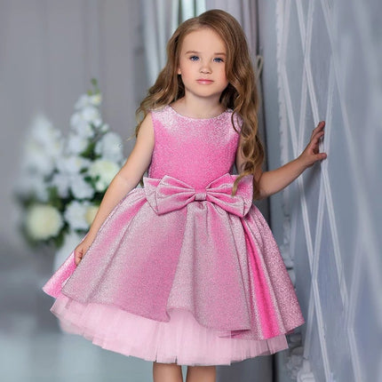 Girls Elegant Flower Dress