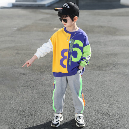 Boys Sweat Pants Set