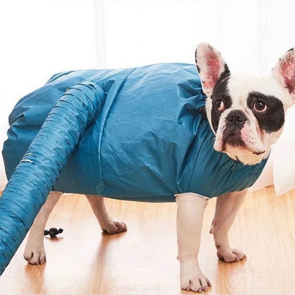 Pet Automatic Drying Bag With Quick Drying Hair Dryer After Bathing