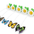 black / butterfly