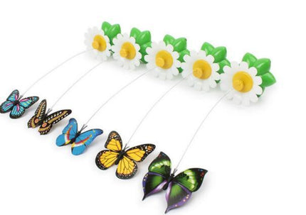Pet Electric Automatic Rotating Flower