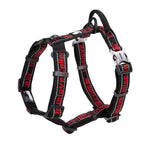 Black red / L