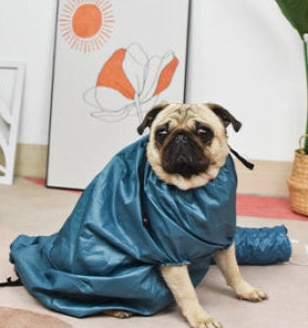 Pet Automatic Drying Bag With Quick Drying Hair Dryer After Bathing