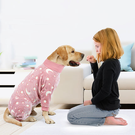 Winter Dog Pajamas