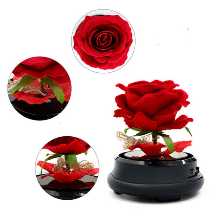 Mother's Day Dried Flower Rose Decor