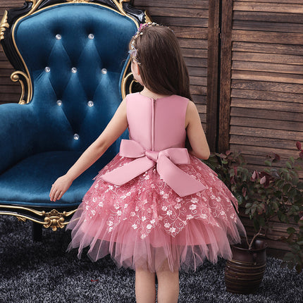 Girls Lace Princess Dress