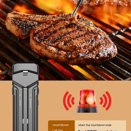 Wireless Kitchen Oven Thermometer