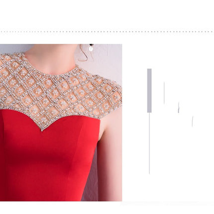 Long Banquet Elegant Evening Dress
