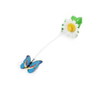 blue1 / butterfly