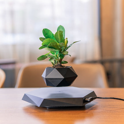Floating Magnetic Levitating Flower Pot Plant