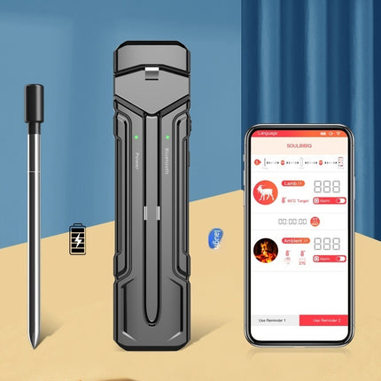 Wireless Kitchen Oven Thermometer