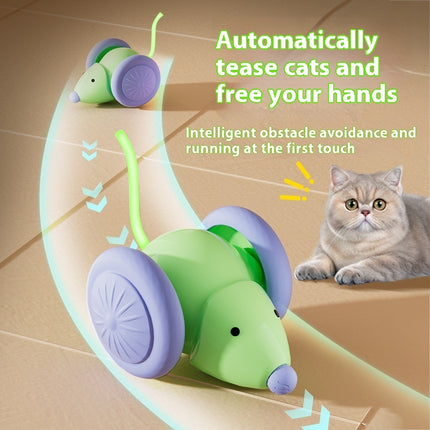 Electric Mouse Car Cat Toy