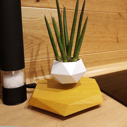 Floating Magnetic Levitating Flower Pot Plant