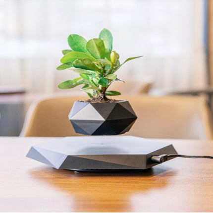 Floating Magnetic Levitating Flower Pot Plant