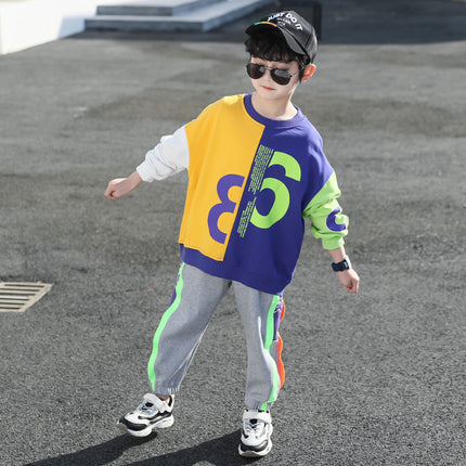 Boys Sweat Pants Set