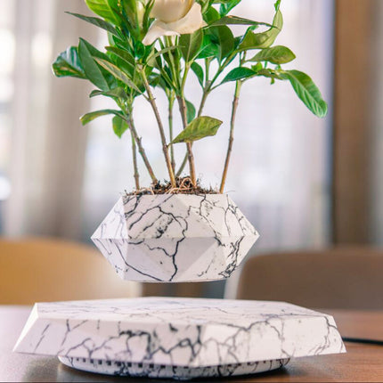 Floating Magnetic Levitating Flower Pot Plant