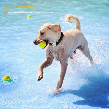 Pet GPS Tracker With Health Monitor