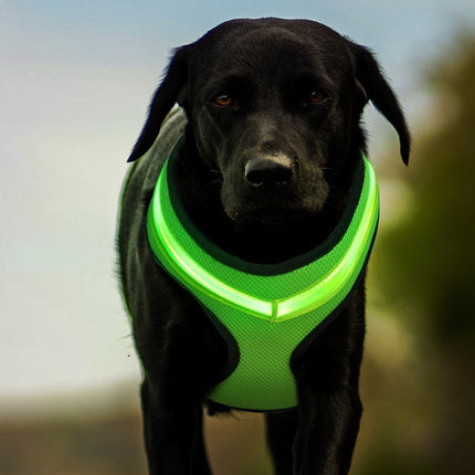 LED Luminous Reflective Dog Harness Chest Strap Vest