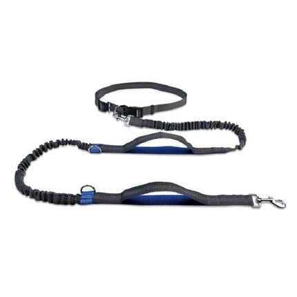 Retractable Pet Traction Rope