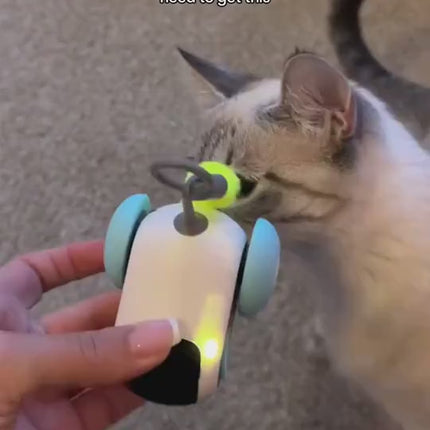 1.mp4