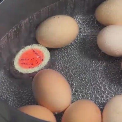 Colorshift Egg Timer